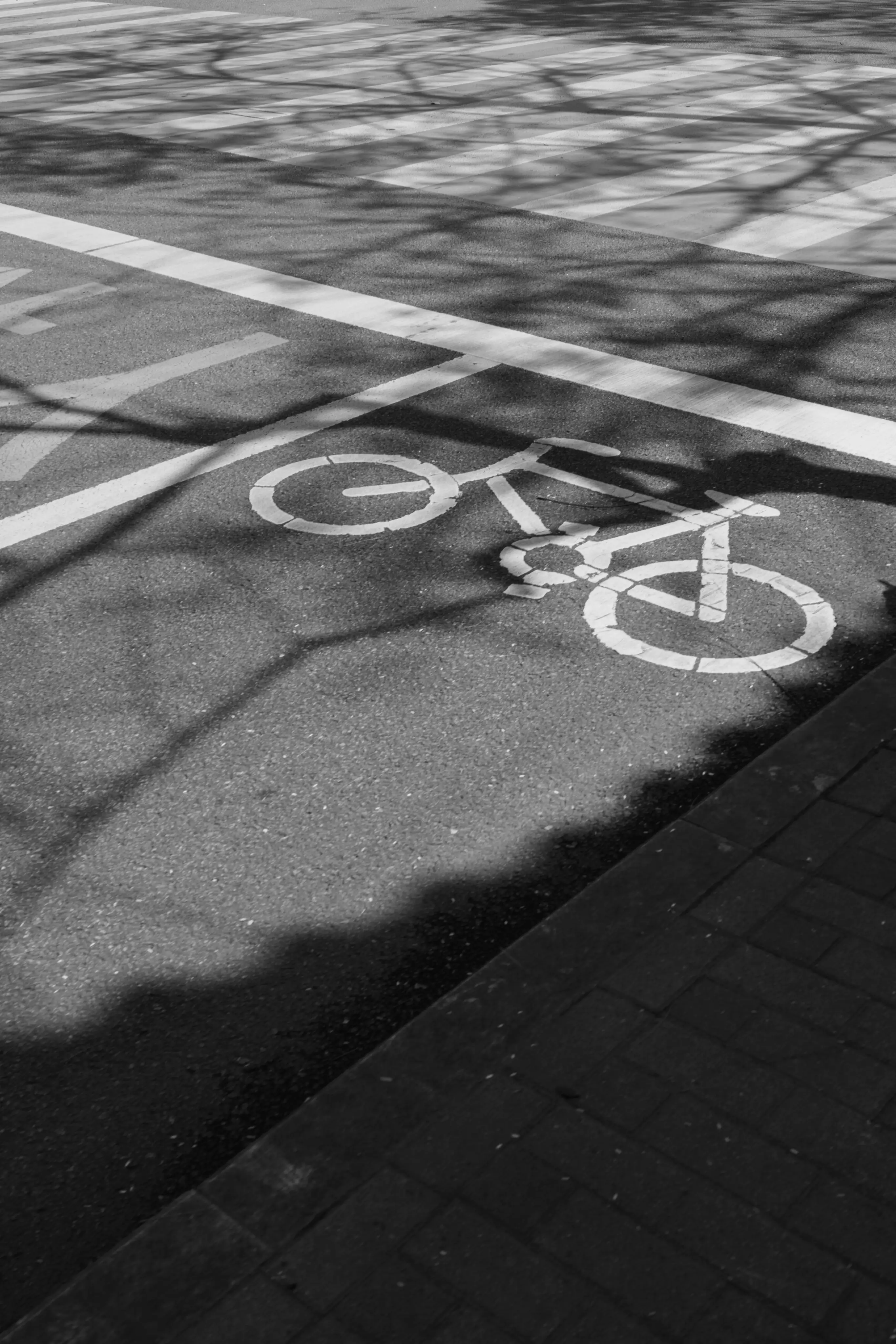 Soluții de sistematizare rutieră cu introducerea benzilor unice de transport și a pistelor de biciclete