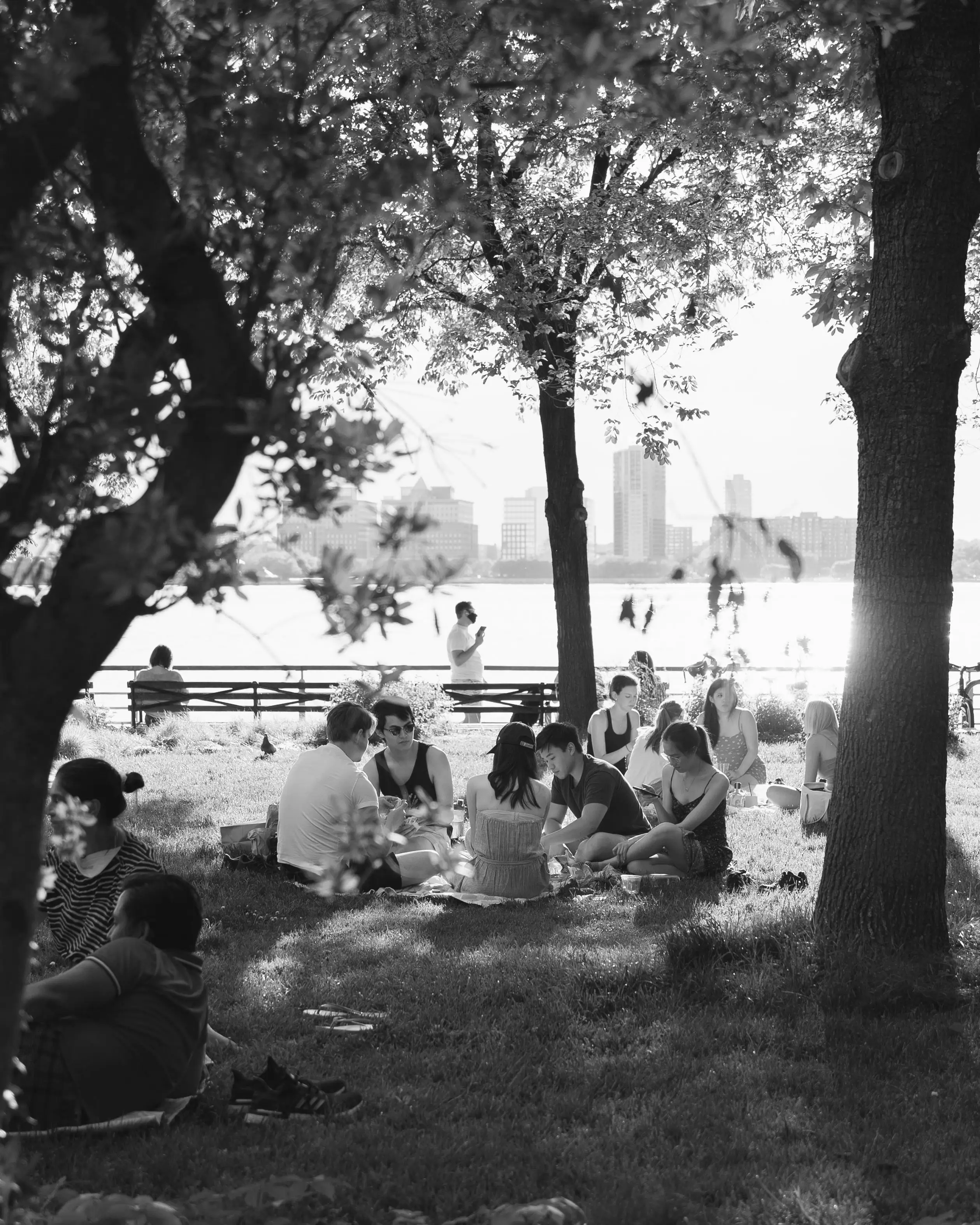 Sustainable community in urban green spaces