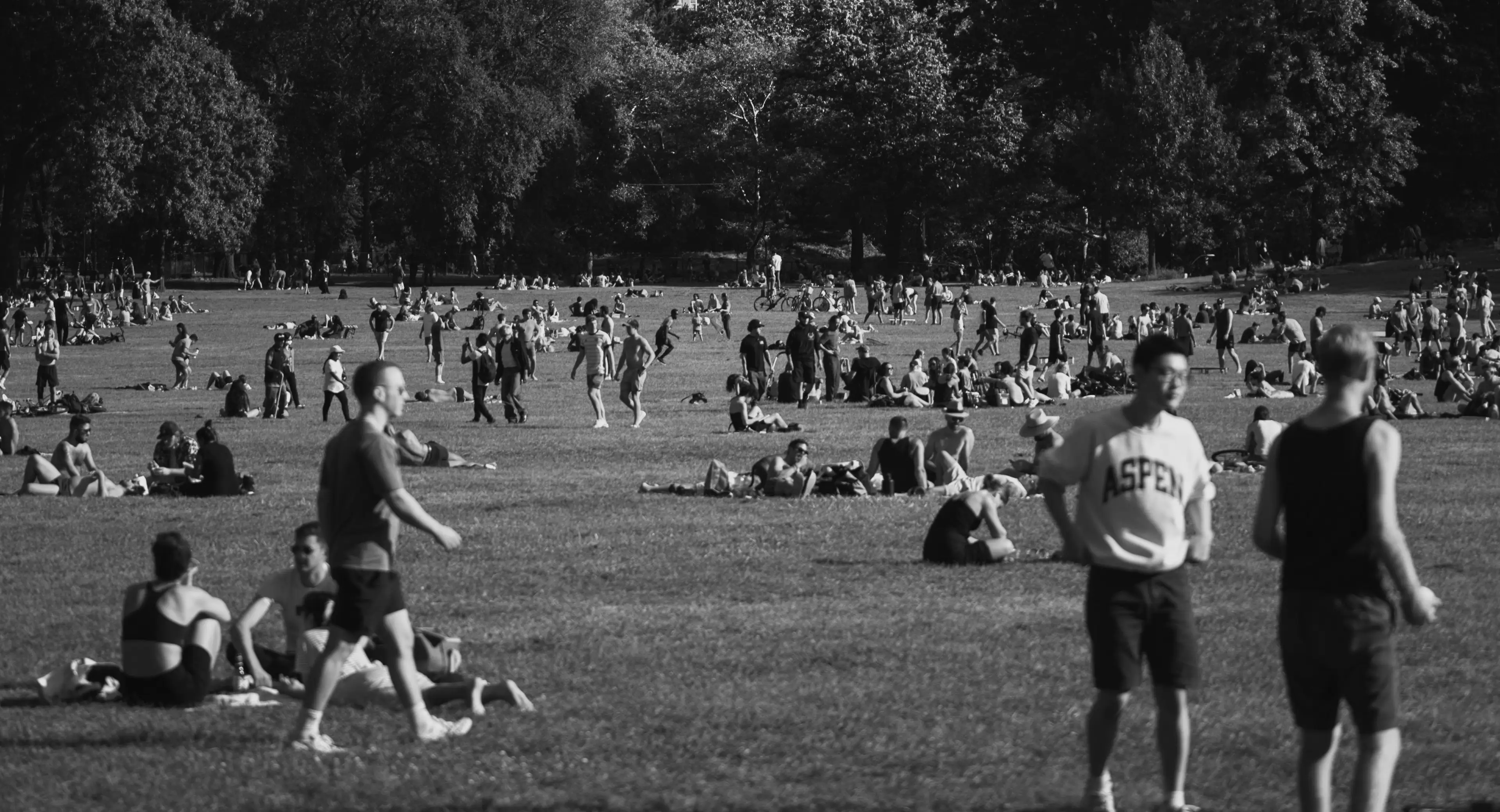 Community in an open urban green space